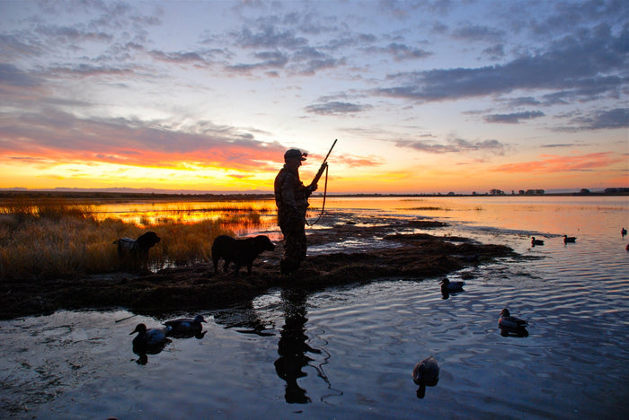 Top Hunting Rifle Magazines: Comparing Brands and Models for Optimal Performance