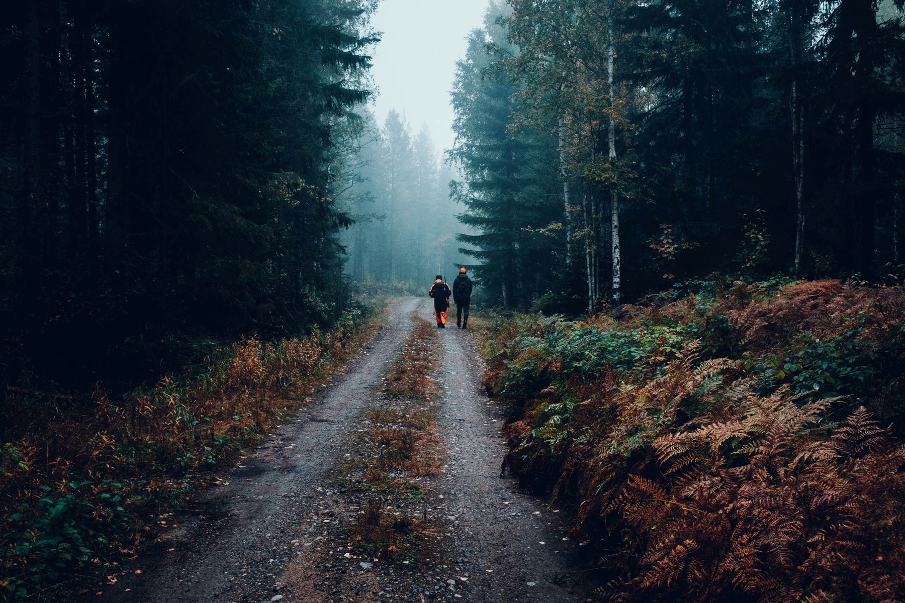 Two people on a hunting trip walking down a forest path.