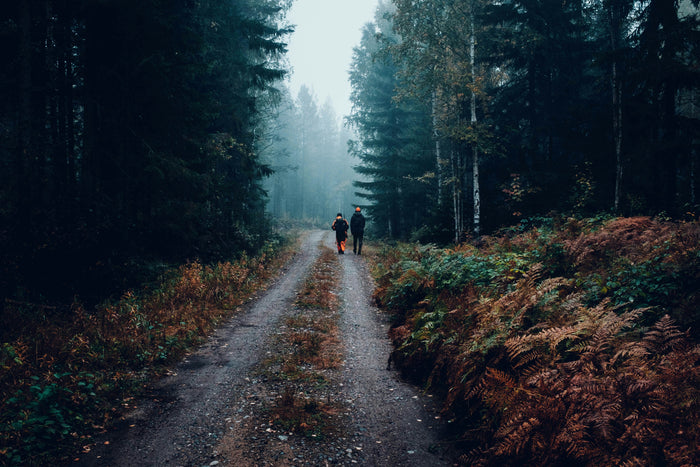 Two people on a hunting trip walking down a forest path.